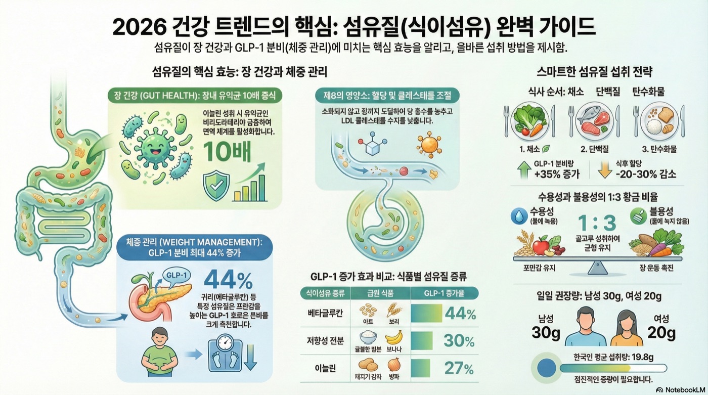 섬유질 완벽 가이드: 장 건강부터 GLP-1 분비까지