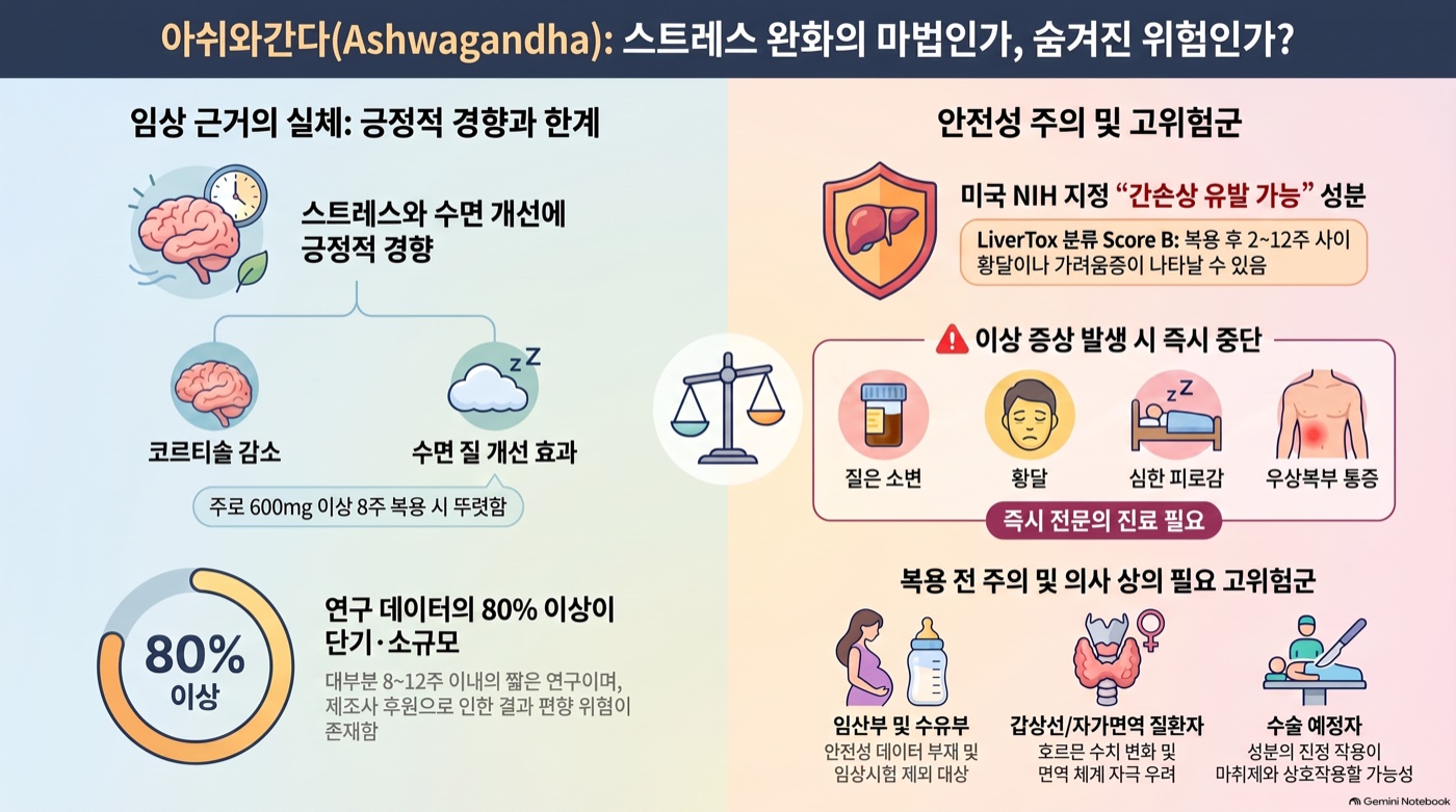 아쉬와간다, 스트레스·수면에 정말 효과 있을까? 매일 먹어도 안전한가