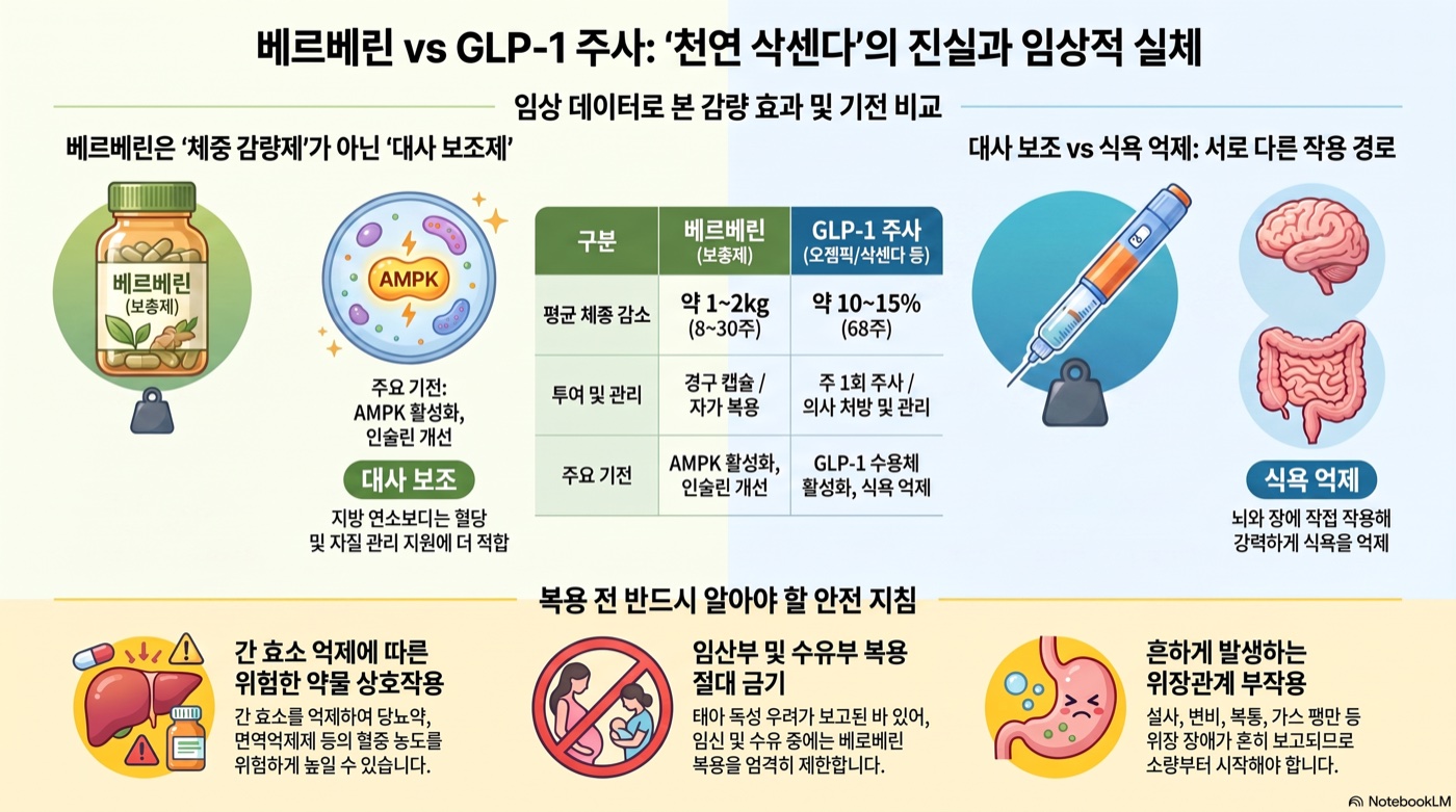 베르베린이 '천연 삭센다'? 다이어트 효과, 임상이 말하는 진실과 한계