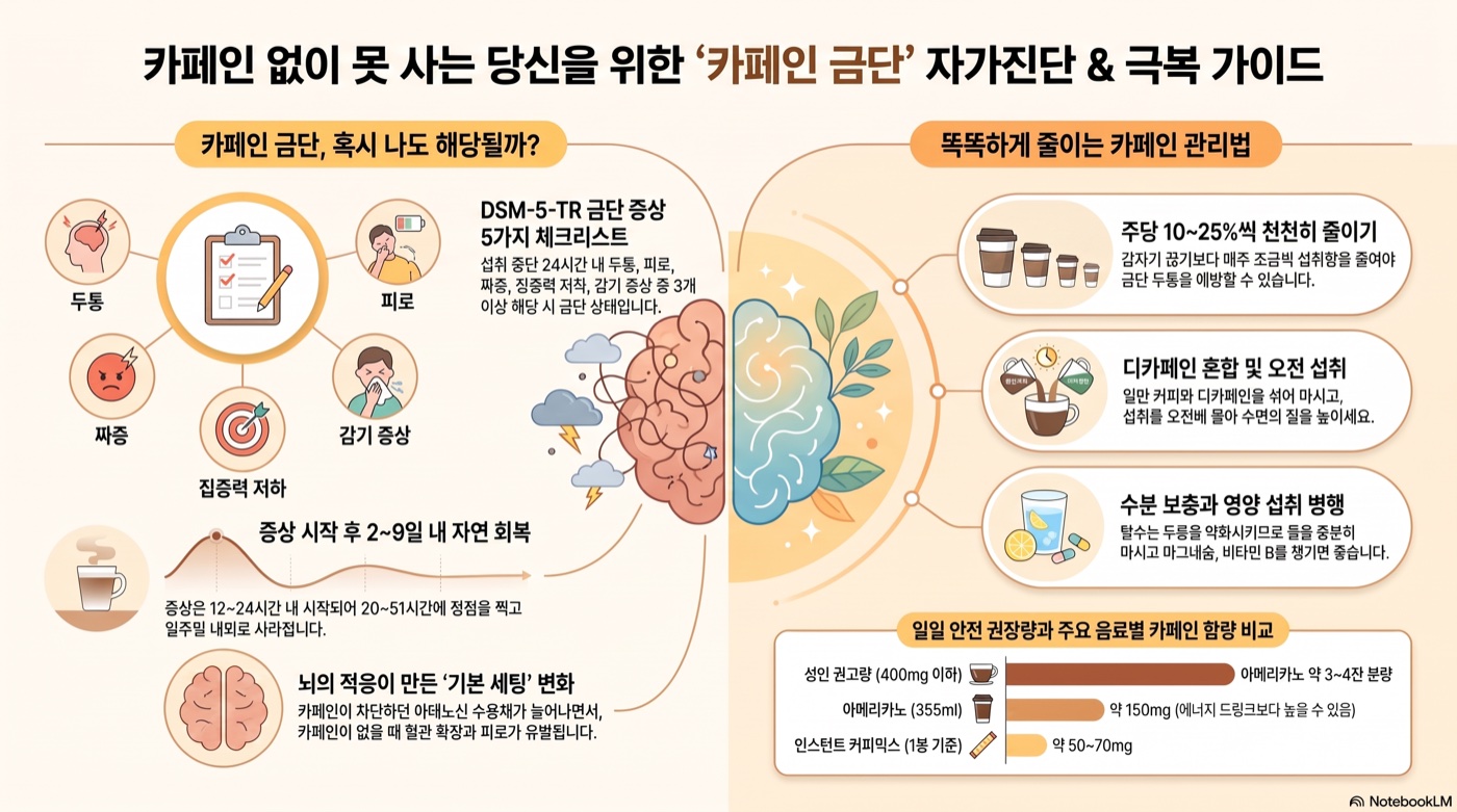 카페인 없이 하루 지내면 두통·집중저하? 카페인 의존·금단 자가진단 5가지 신호