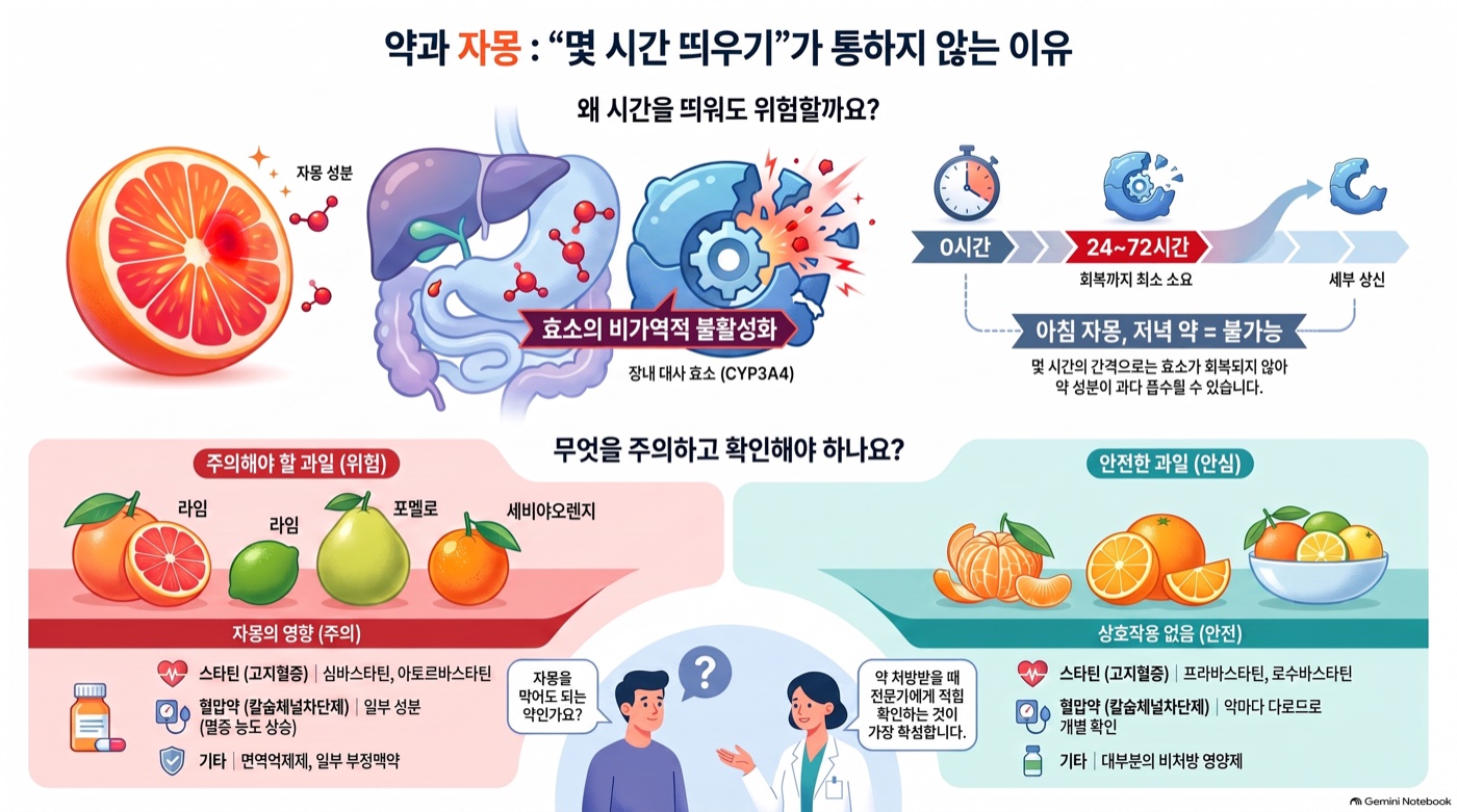 약 먹을 때 자몽, 몇 시간 띄우면 안전할까