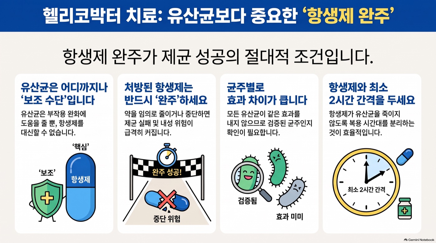 헬리코박터 제균 치료 중 유산균, 언제 먹어야 할까