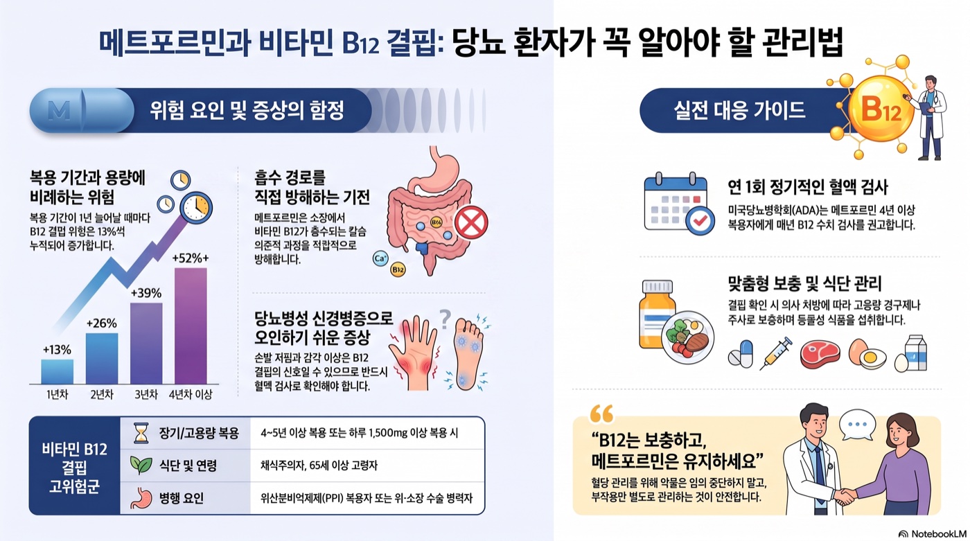 메트포르민 오래 먹으면 비타민B12 결핍? 당뇨약 복용자가 챙겨야 할 것