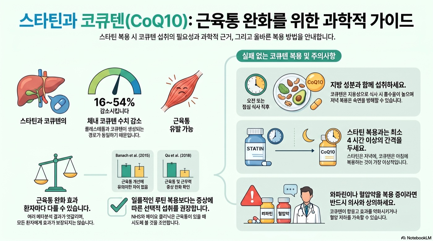 스타틴 복용하면 코엔자임Q10 꼭 같이 먹어야 할까? 임상 근거와 복용 타이밍